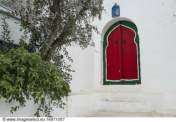 Eine traditionelle Tür von Sidi Bou Said  dem blau-weißen Touristendorf am Mittelmeer. Tunesien  Afrika.