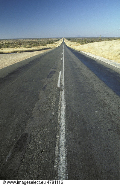 Eine typische lange  gerade Straße  Namibia  Afrika