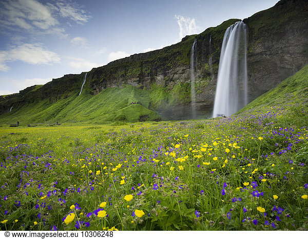 Eine Wasserfallkaskade über eine steile Klippe und Wildblumenwiesen.