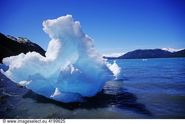Einfahrt zur Icy Bay  Prince William Sound  Alaska  USA