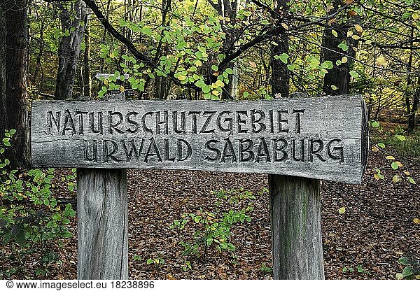 Eingangsschild Naturschutzgebiet Urwald Sababurg  Naturpark Reinhardswald  Hessen  Deutschland  Europa