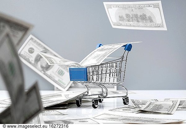 Einkaufswagen und eine Anzahl von U.S. $one hundred Scheinen