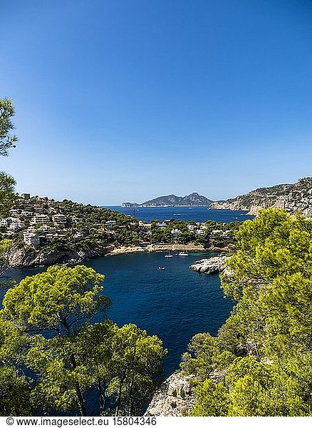 Einsame Bucht cala Llamp bei Costa de Andratx  Mallorca  Balearen  Spanien  Europa