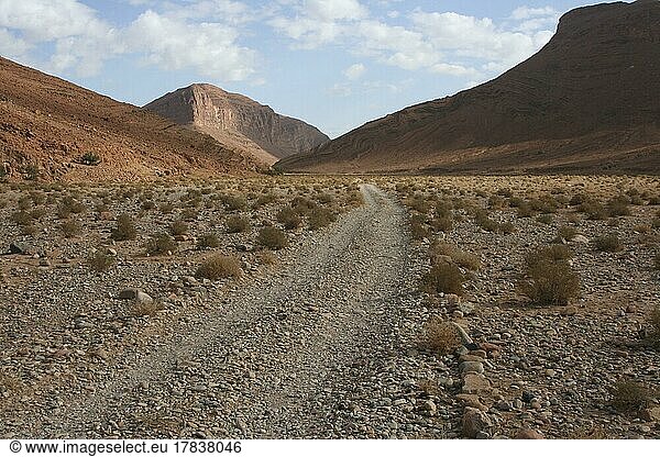 Einsame Piste in einem Wadi im Antiatlas nahe Ait Herbil  Marokko  Afrika