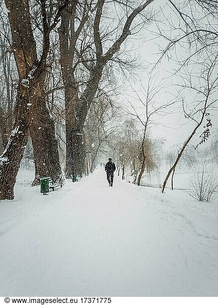 Einsamer Mann Silhouette wandernde einen verschneiten Gehweg im Winter Park. Ruhige und stimmungsvolle Szene  Person zu Fuß einen Fußweg in den Schneefall  Schneesturm Wetter mit Wind schütteln die hohen Bäume Zweige  Rose Valley  Chisinau  Moldawien  Europa