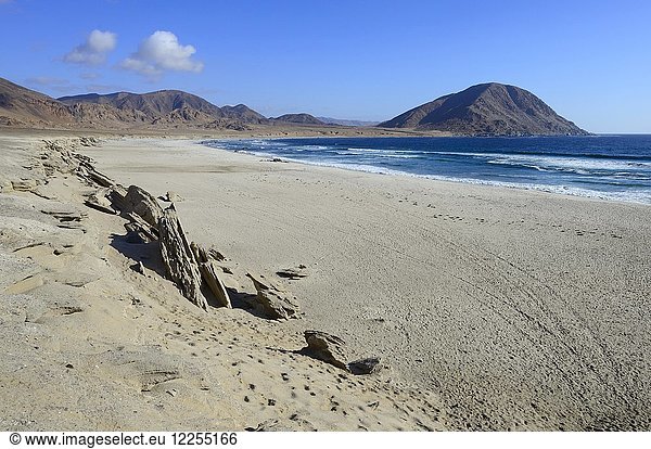 Einsamer Sandstrand am Pazifik  Nationalpark Pan de Azúcar  bei Chañaral  Región de Atacama  Chile  Südamerika