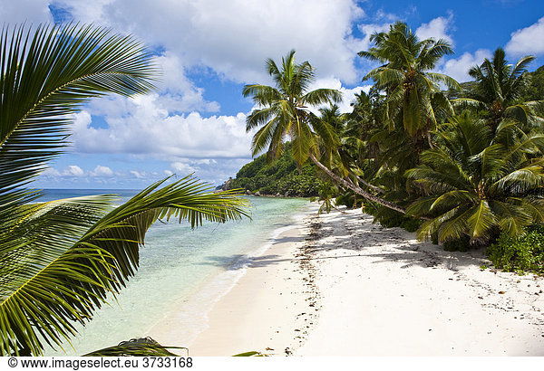 Einsamer Strand bei Anse Baleine Insel Mahe Seychellen Indischer Ozean Afrika