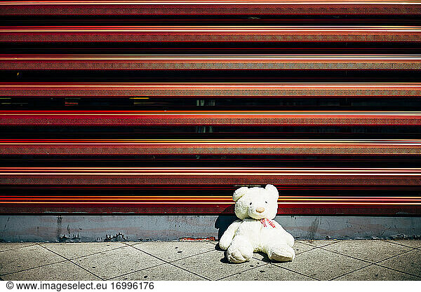 Einsamer Teddybär an roter Wand