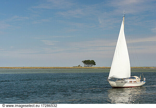 Einsames Segelboot auf der Schlei