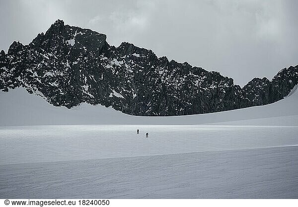 Einzelne Skitourengeher auf dem Alpeiner Ferner  Gletscher  Berge im Winter  Neustift im Stubaital  Tirol  Österreich  Europa