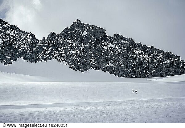 Einzelne Skitourengeher auf dem Alpeiner Ferner  Gletscher  Berge im Winter  Neustift im Stubaital  Tirol  Österreich  Europa