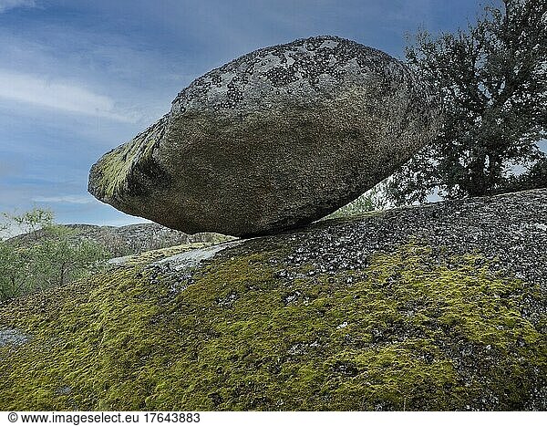 Einzelner Fels auf dem Granit-Felsformation im Naturreservat Los Barruecos  Extremadura  Spanien  Europa