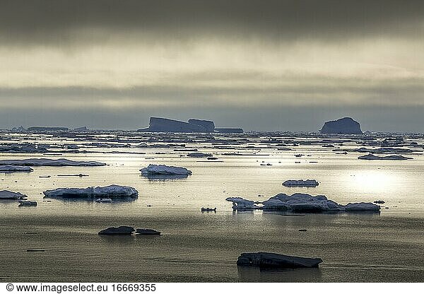 Eisberge im Meer  Nebel  mystische Stimmung  Ostküste Grönlands  Dänemark  Europa