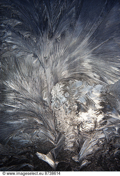 Eisblumen