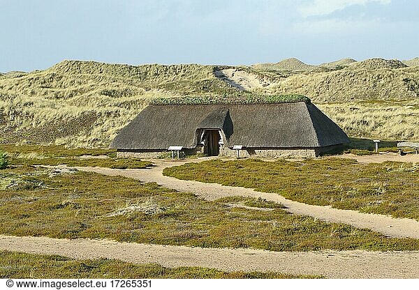 Eisenzeitliches Haus in Dünenlandschaft  Insel Amrum  Nordfriesische Inseln  Schleswig-Holstein  Deutschland  Europa