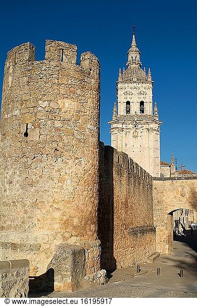 El Burgo de Osma  Mauern und Glockenturm der Kathedrale. Provinz Soria  Kastilien und Leon  Spanien.