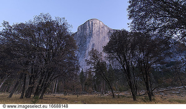 El Capitan in Yosemite at sunrise from El Cap Meadow during fall