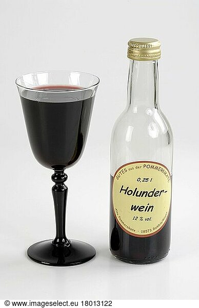 Elder wine  glass and bottle  Schwarzer Holunder (Sambucus nigra)  Wein in Glas und Flasche  Holunderwein  innen  Studio