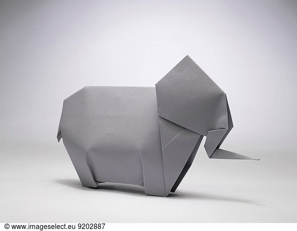 Elefant Indien Origami