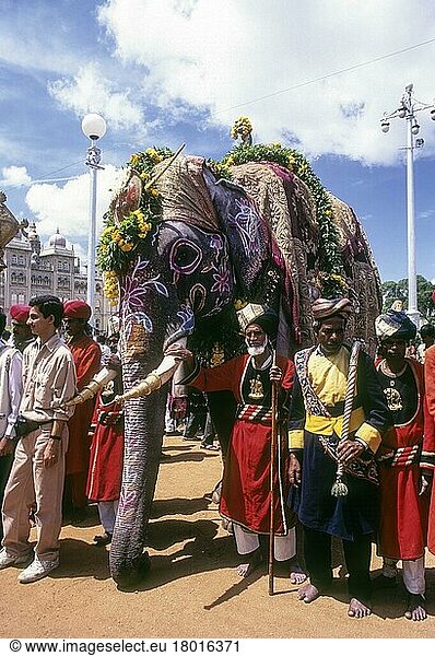 Elefant mit Kopfbedeckung und Bemalung  Dussera-Fest in Mysore  Karnataka  Indien  Asien