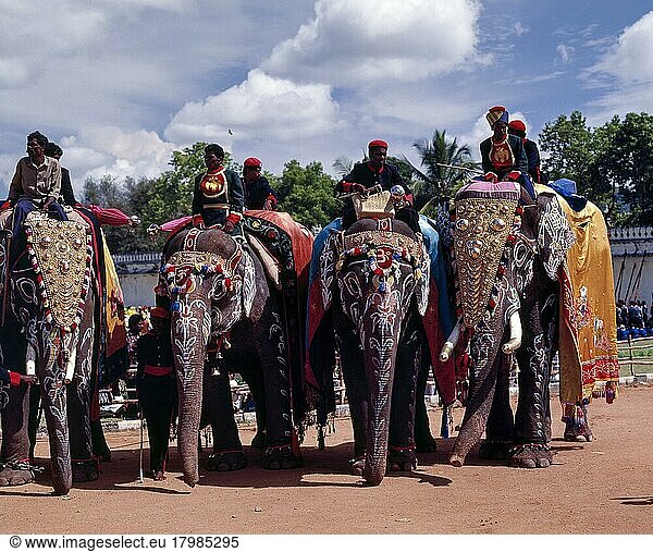 Elefanten mit Kopfbedeckung beim Dussera-Fest  Mysore  Mysuru  Karnataka  Indien  Asien