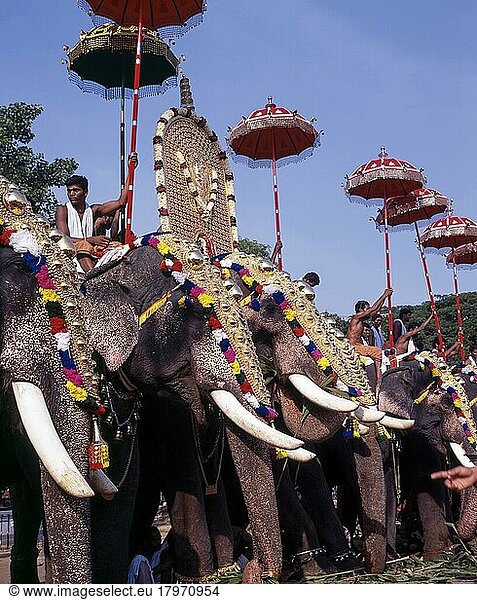 Elefanten mit Kopfbedeckung beim Pooram-Fest  Thrissur oder Trichur  Kerala  Indien  Asien