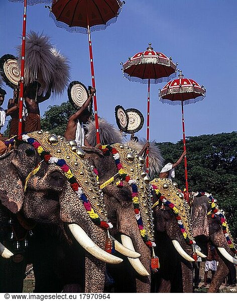 Elefanten mit Kopfbedeckung beim Pooram-Fest  Thrissur oder Trichur  Kerala  Indien  Asien