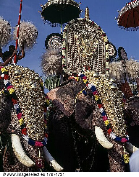 Elefanten mit Kopfbedeckung beim Pooram-Fest  Thrissur oder Trichur  Kerala  Indien  Asien