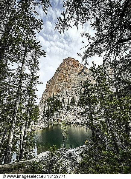 Elefantenbarsch in den Sawtooth Mountains