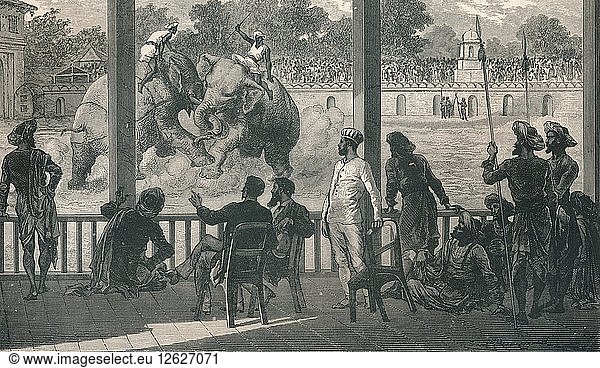 Elefantenkampf in Baroda  1896. Künstler: Unbekannt