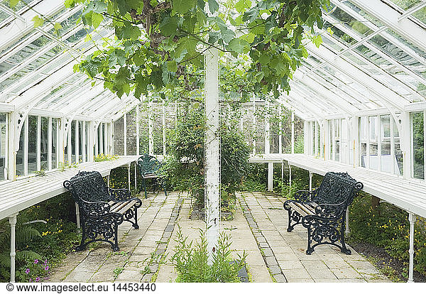 Elegant Greenhouse