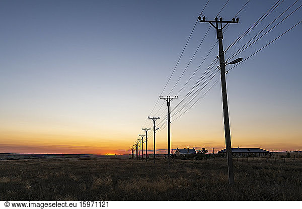 Elektrische Leitungen bei Sonnenuntergang in Elista  Republik Kalmückien  Russland  Eurasien