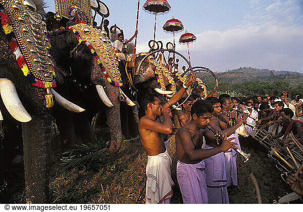 Elephant culture of India
