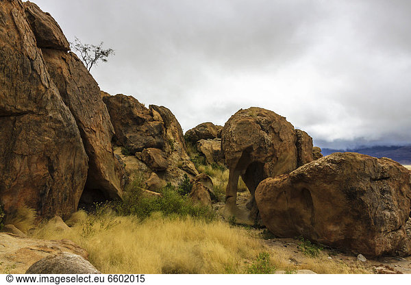 Elephant Rock an der D2342  Brandberg  Damaraland  Namibia  Afrika