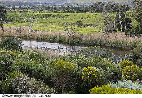 Elevated view of flowering plants and shrubs on a slope  two kayakers on a narrow river and grassland.