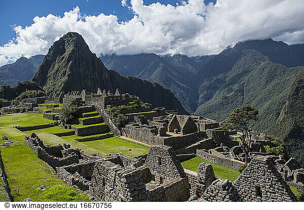 Elevated view of inca ruins  Machu Picchu  Cusco  Peru  South America