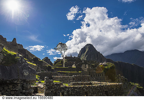Elevated view of inca ruins  Machu Picchu  Cusco  Peru  South America