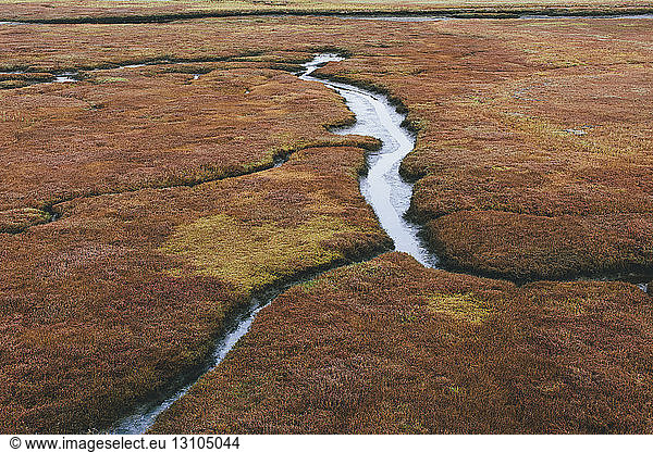 Elevated view of marsh and tidelands at dusk in a national seashore reserve.