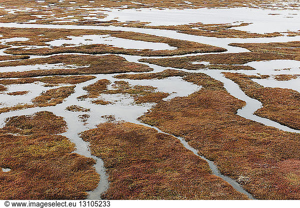 Elevated view of marsh and tidelands at dusk in a national seashore reserve in California  USA