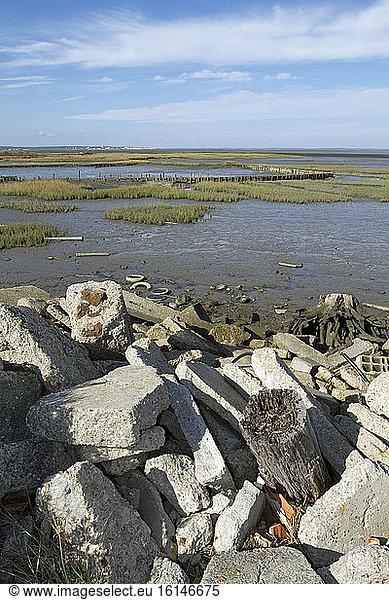 Embankment with gravels and concrete in a marsh Gujan Mestras Arcachon Basin Gironde France