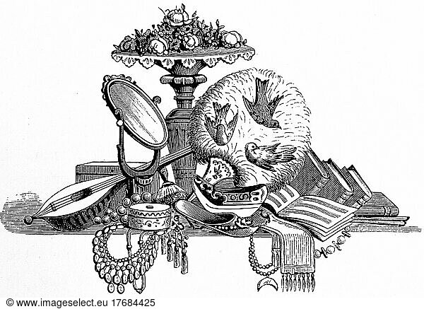 Emblem Nordeuropa  Schmuckdose  Spiegel  Halskette  Bücher  Musiknoten  Holzschuh  Mandoline  Verzierungen  historische Illustration 1881