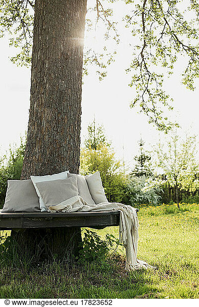 Empty bench with pillow and blanket around tree trunk on sunny day