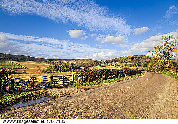Empty country road in rural landscape on sunny day