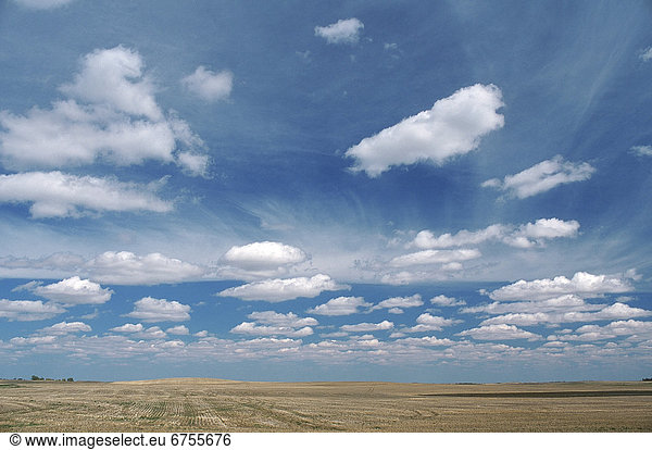 Empty Field and Sky,  Weyburn,  Saskatchewan,  Canada