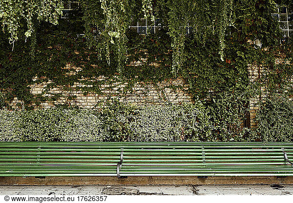 Empty green bench at public park