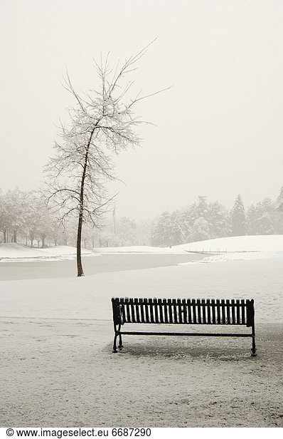 Empty Park Bench in Snow