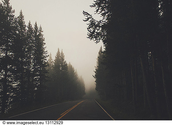 Empty road amidst silhouette trees in forest during foggy weather