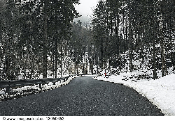 Empty road amidst trees in forest during winter