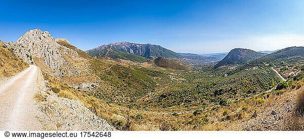 Empty road at mountain on sunny day  Andalucia  Spain  Europe