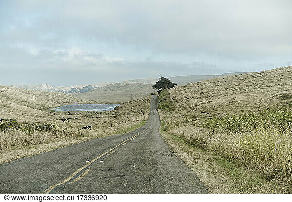 Empty road at Point Reyes in California  USA